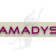 Association amadys